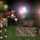 Image for article titled Celebrate Five Years of Lord of the Rings Online with Free Stuff